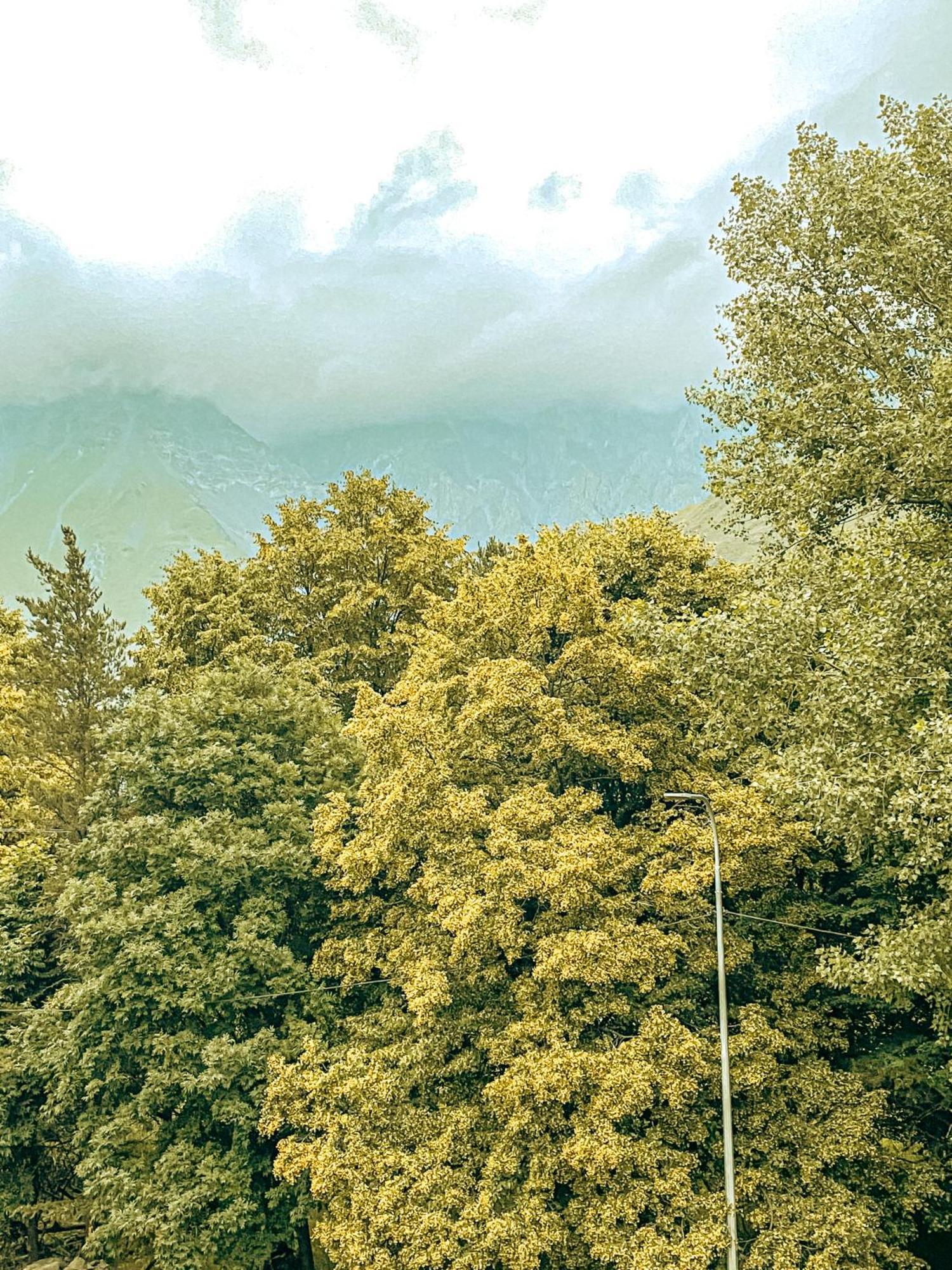 Hotel Gold Kazbegi 外观 照片