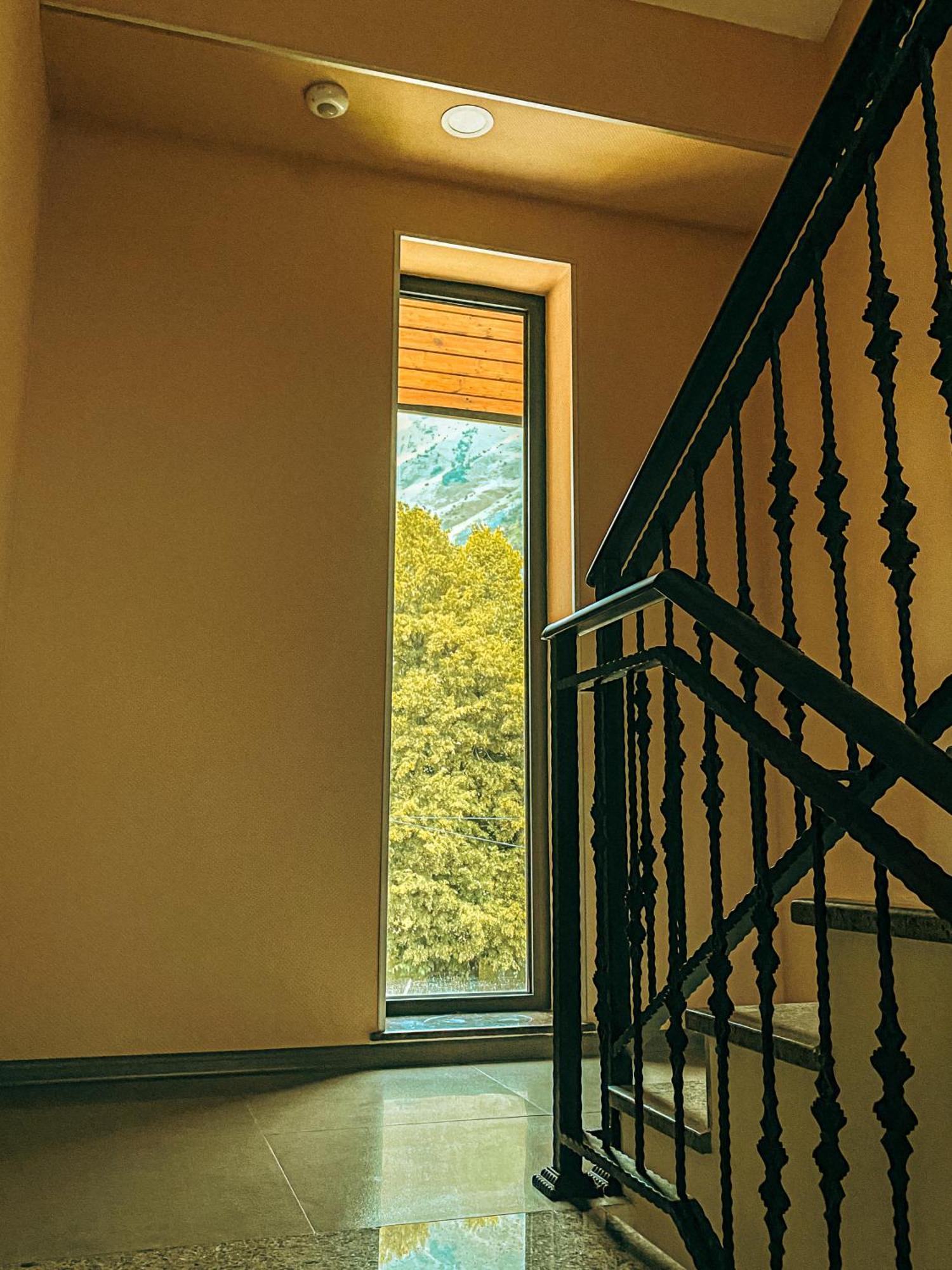 Hotel Gold Kazbegi 外观 照片