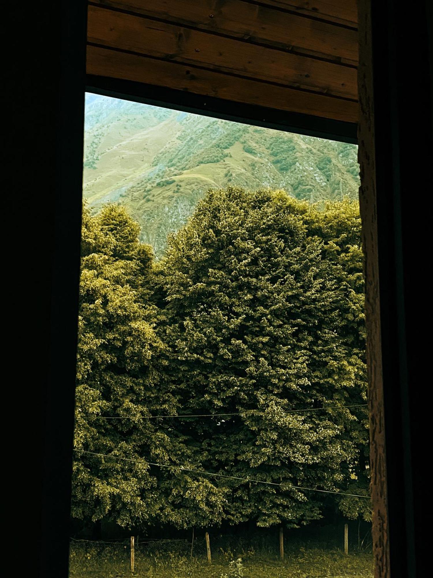 Hotel Gold Kazbegi 外观 照片